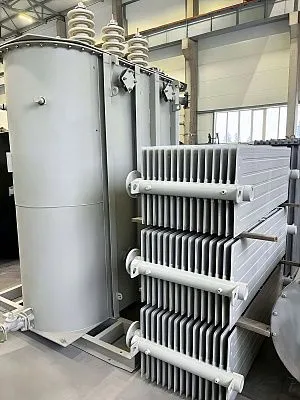 Трансформатор ТМГ 100/6/0,4 Трансформатор ТМГ 100/6/0,4